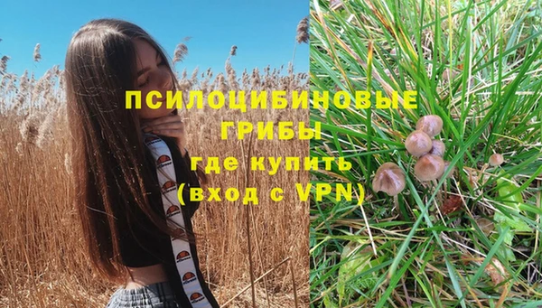 соль ск Алексин