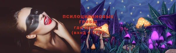 ALPHA PVP Алексеевка