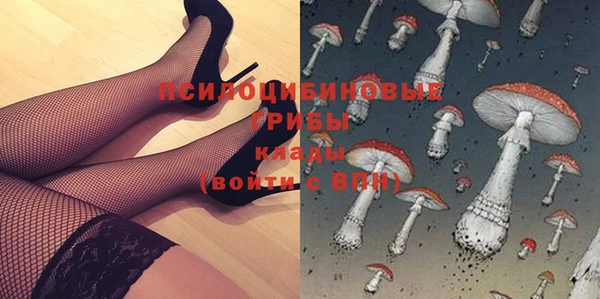 прущий лед Алзамай