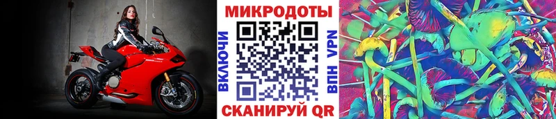 где купить наркоту  kraken маркетплейс  Псилоцибиновые грибы Psilocybe  Юрьевец 